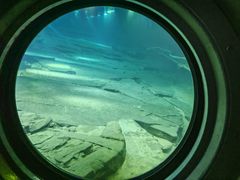 -白鹤梁水下博物馆