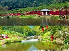 -广州市石门国家森林公园
