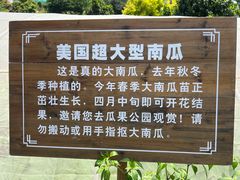 -青青世界