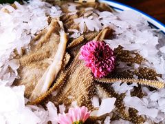 -九鼎轩脆毛肚火锅(三钢里店)