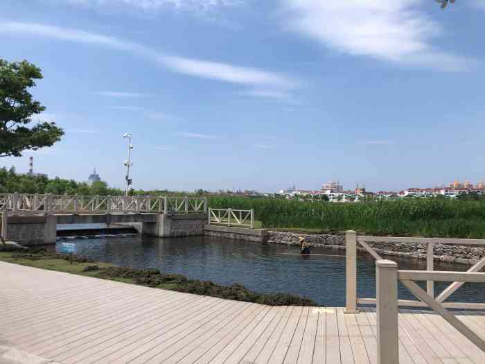 鹦鹉洲湿地公园-"鹦鹉洲湿地公园就在金山城市沙滩旁边,这两.