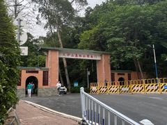-火炉山森林公园