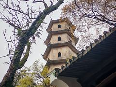 -江心屿景区