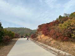 -北京西山国家森林公园