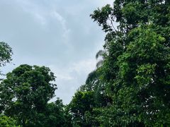 -中国科学院西双版纳热带植物园