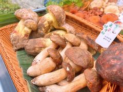 -原林野山菌火锅·炒菌(关上野生菌一条街店)