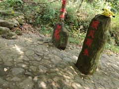 -紫云谷景区