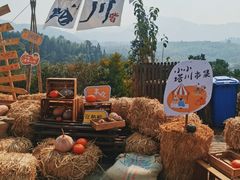 -塔川景区