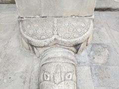 -药王庙(安国市)