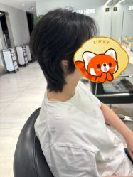 点击看大图 -京世沙龙