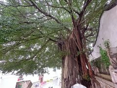 -乌山风景区