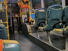 -张钰强中医正骨推拿连锁(唐家人才公寓店)
