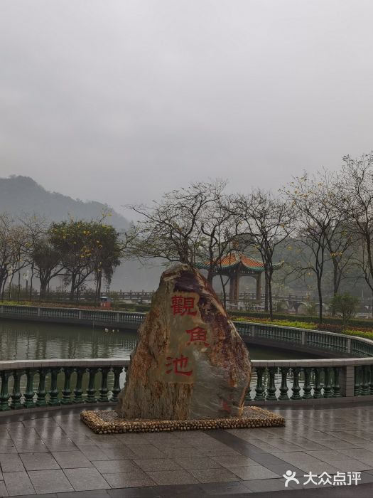 星湖旅游景区七星岩图片