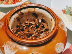 -沪碟·精菜坊(闵行店)
