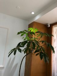 -HEYAN荷妍专业脱毛连锁机构