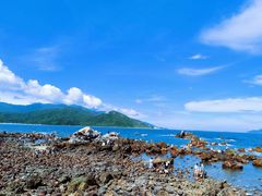 -西涌国际滨海旅游区