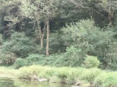 -天目溪漂流