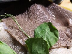 -菜园坝老火锅(金岛店)