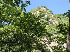 -大岭沟猕猴桃谷风景区