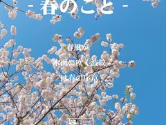 -上海辰山植物园