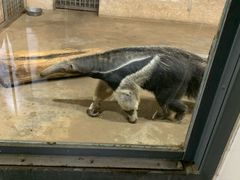 -石家庄市动物园