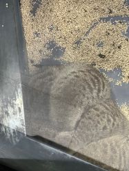 -未来动物城主题公园(正弘城店)