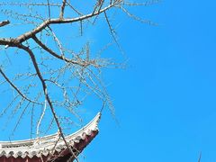 -龙华素斋(龙华路店)