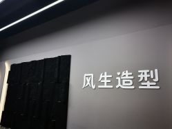 -风生造型