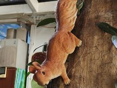 -丽江庭院之丽江往事(安定门店)