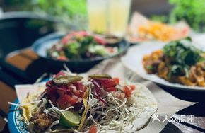 Slow-Cooked Beef Tacos Beef Barbacor