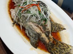-红城阁·上海味道(四平路店)