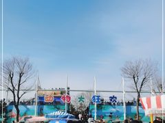-太阳部落