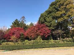 -名古屋城