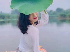 -白洋淀景区