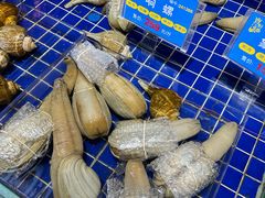 -宝轩渔府·老字号海鲜·正宗津菜(水上店)