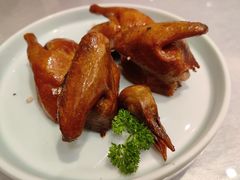 乳鸽皇-宝燕壹号(徐汇店)