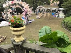 -马勒别墅·中餐厅