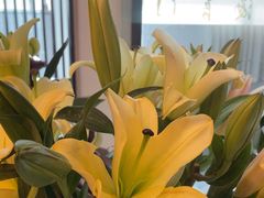 -海富门·带鱼·淮扬菜·粤菜(甘家口店)