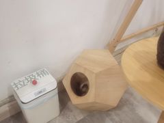 -楼上猫咖(罗湖店)