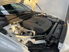 -XPEL旗舰店·汽车贴膜·隐形车衣·改色贴膜