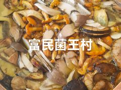 -野生菌火锅(菌王村店)