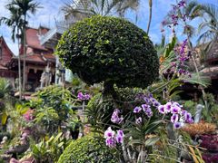 -西双版纳傣族园