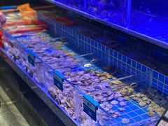 -青蓬蒸汽海鲜·深圳老字号·团建聚会(壹方城店)