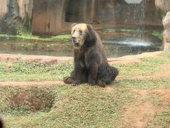 -海南热带野生动植物园