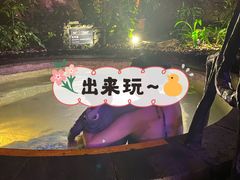 -海口观澜湖火山温泉谷