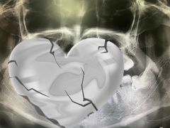 -四川大学华西口腔医院(华西院区)