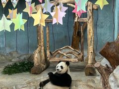 -海南热带野生动植物园