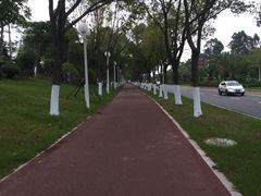 -厦门国家会计学院