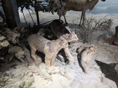 -武汉园博园(武汉自然博物馆)
