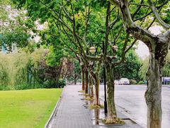 -复旦大学(张江校区)
